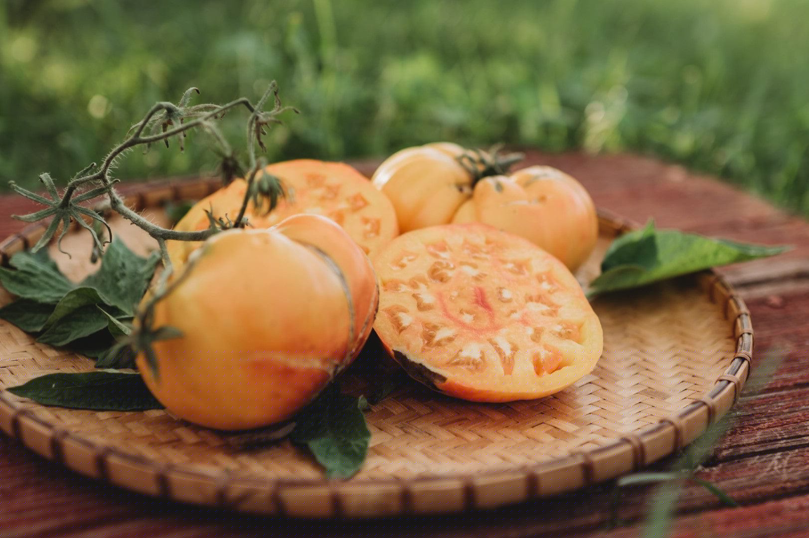 Are Yellow Tomatoes Really Less Acidic? The Answer May Surprise You