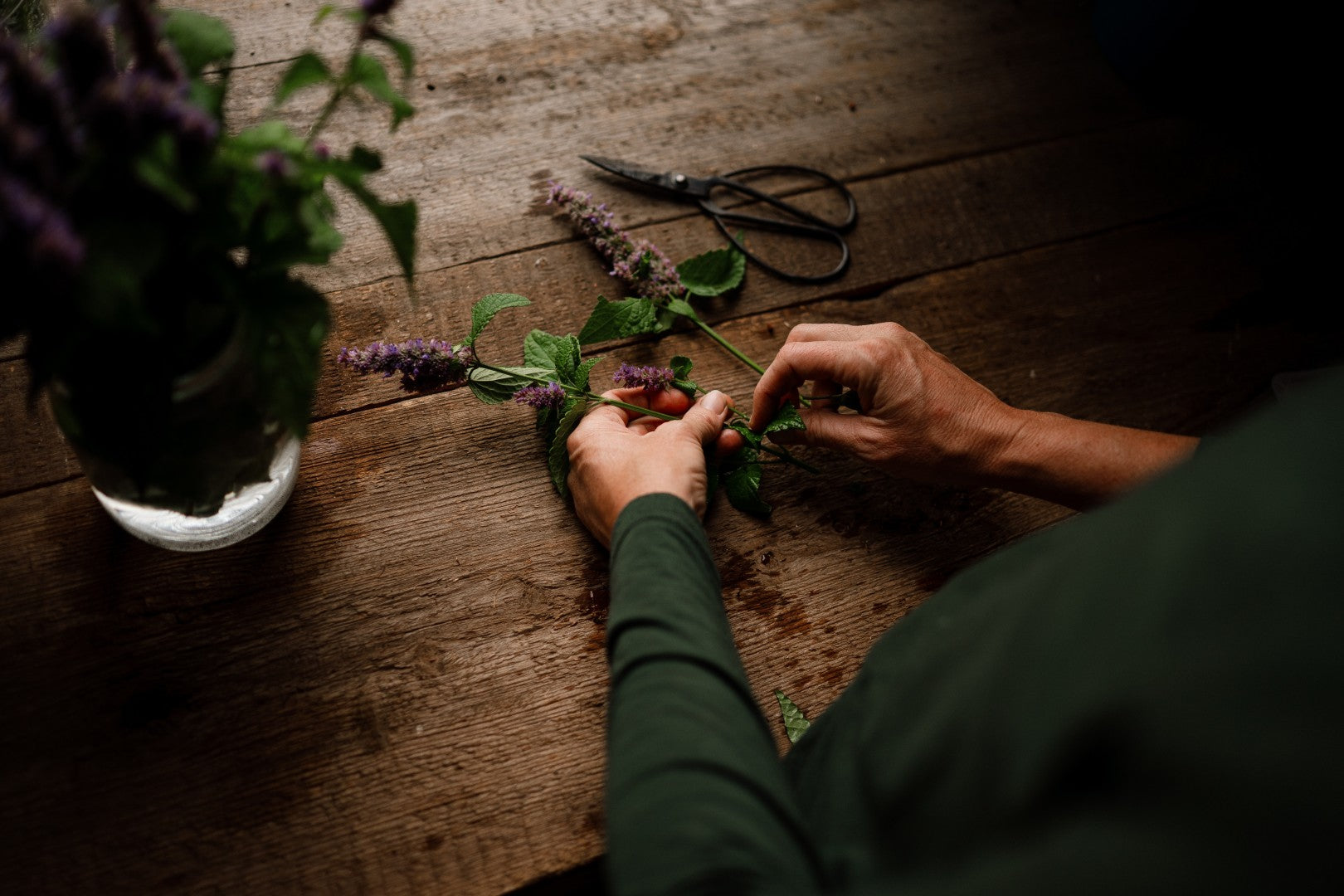 Sow, Reap, Steep—Our Favorite Herbs to Grow for Tea Making