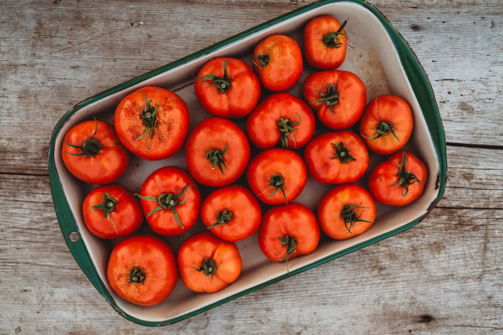 Marglobe: The Tomato That Rescued a Farming Industry