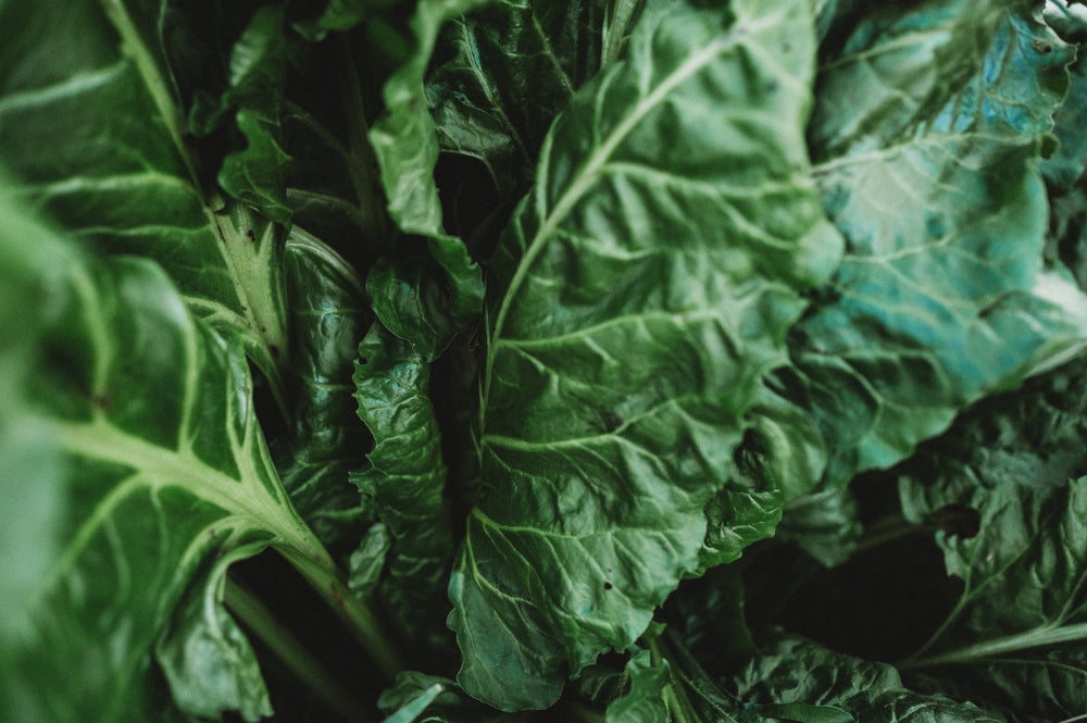 Spinach Bolting? Plant These Heat-Tolerant Spinach Alternatives Next