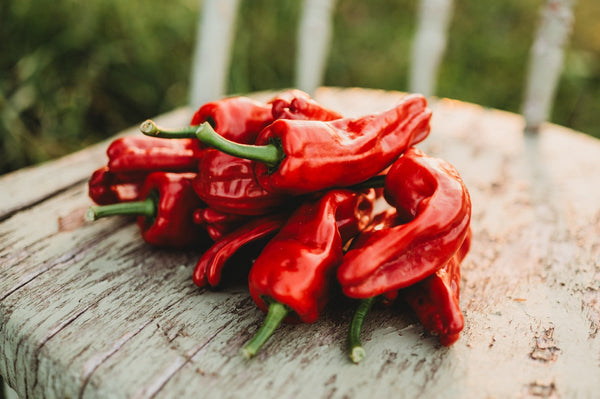 Red Italian Peppers