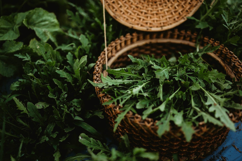 homegrown arugula in a basket