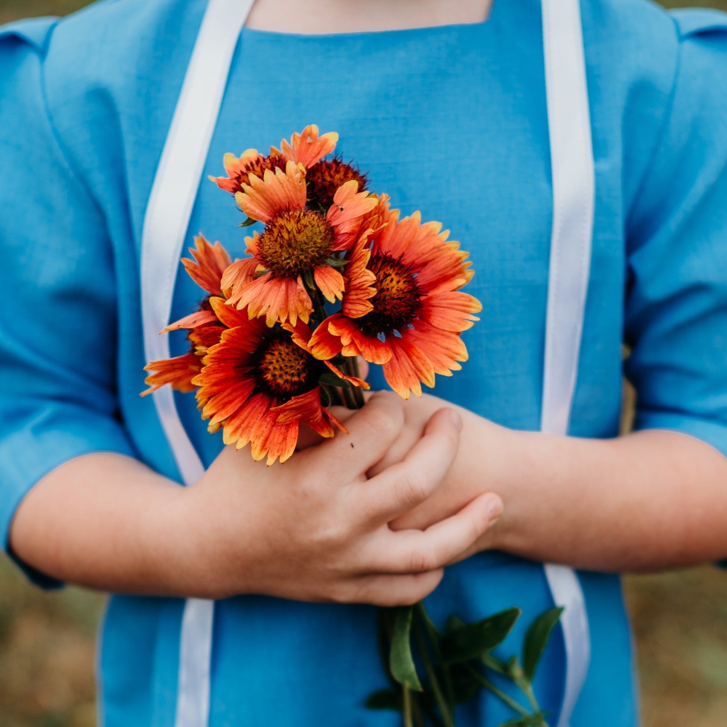 Blanket Flower Companions