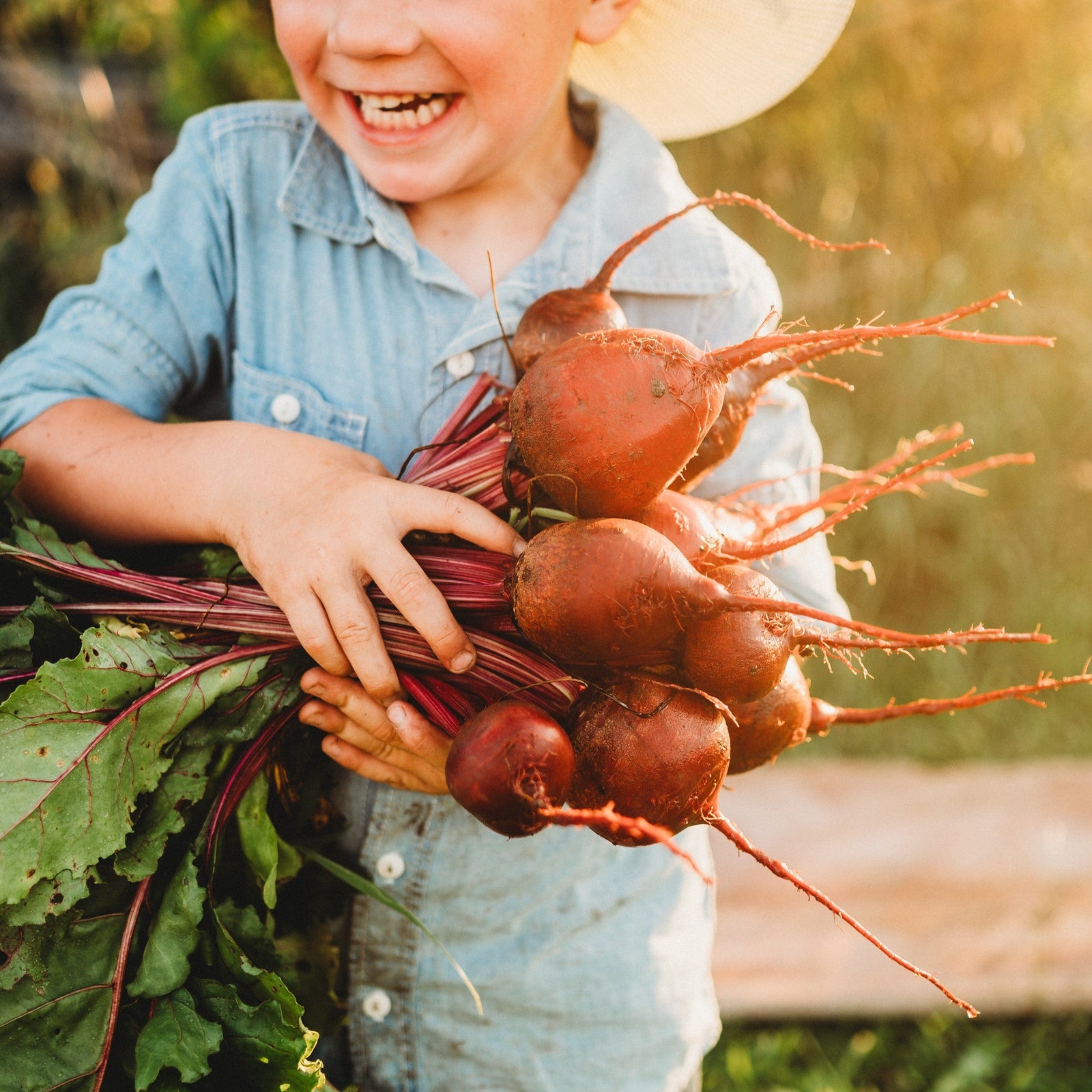 Beets