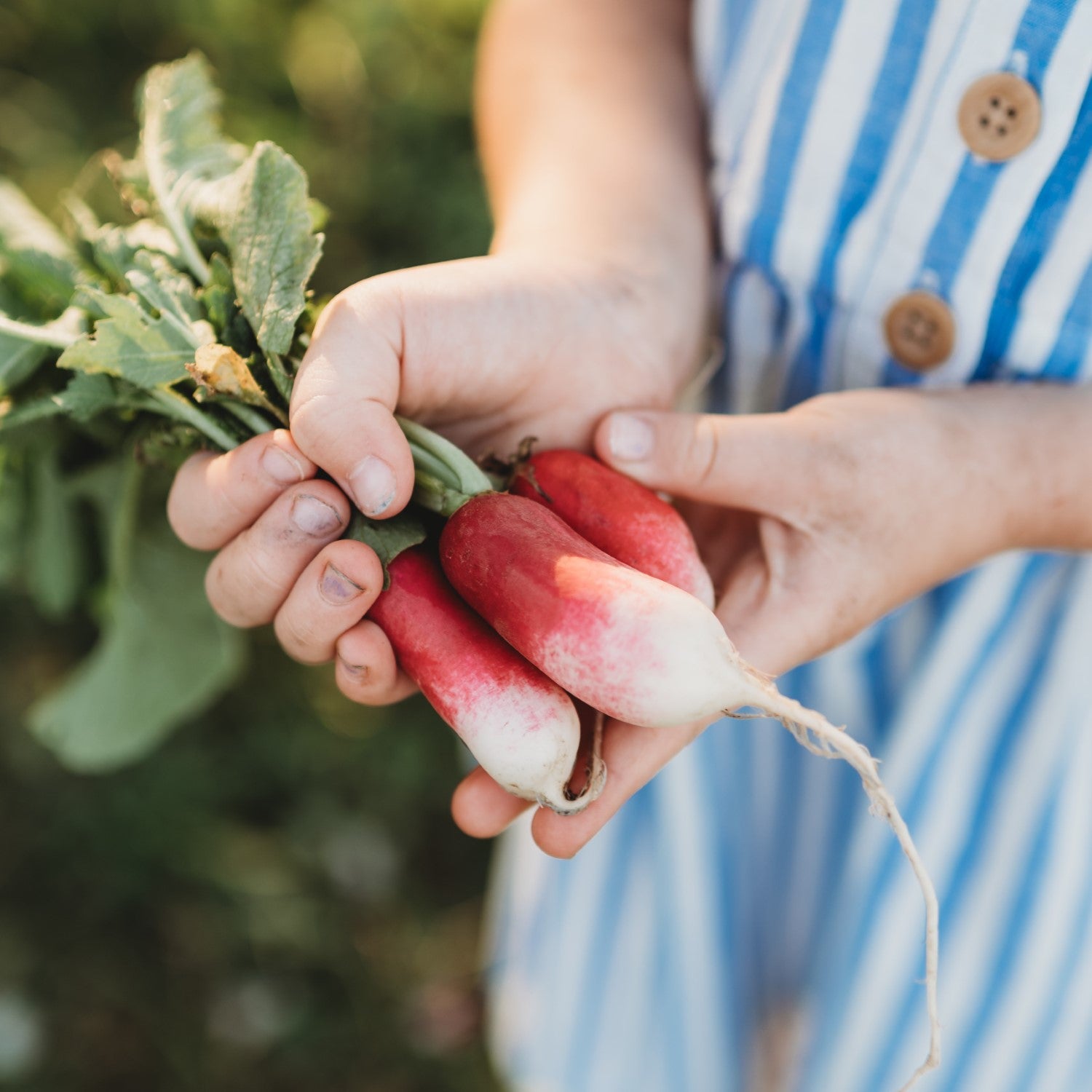 Fast-Growing Vegetables