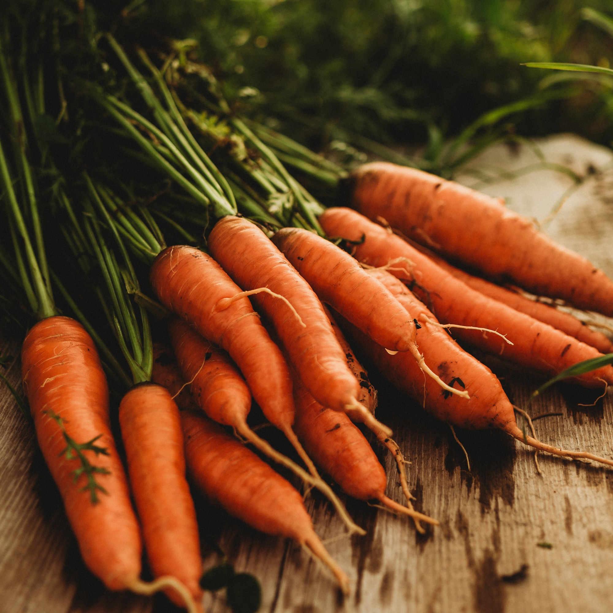 Heirloom Carrots