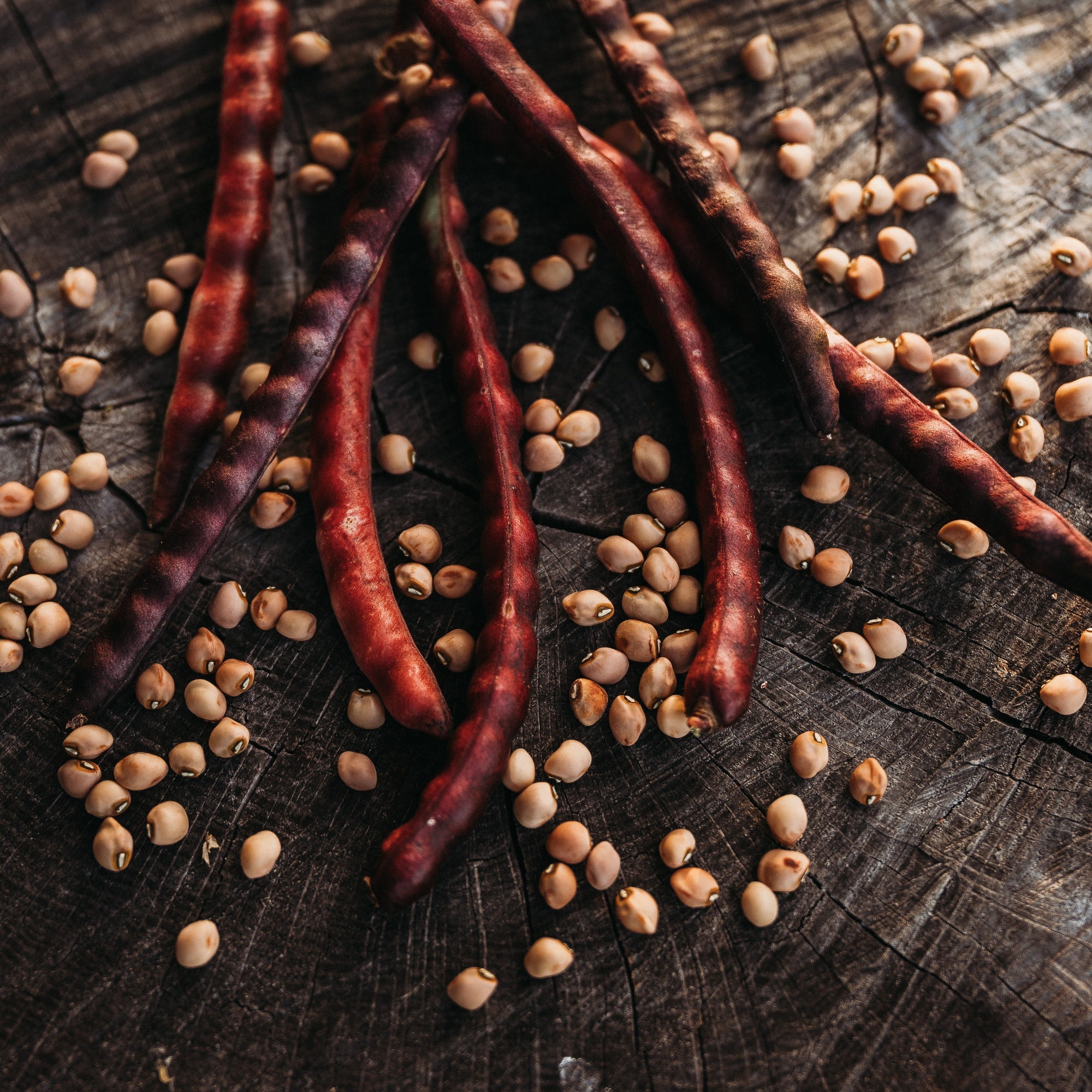 Purple Hull Pea Seeds