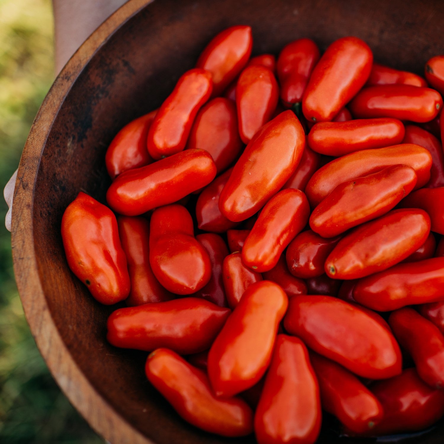 Paste Tomatoes