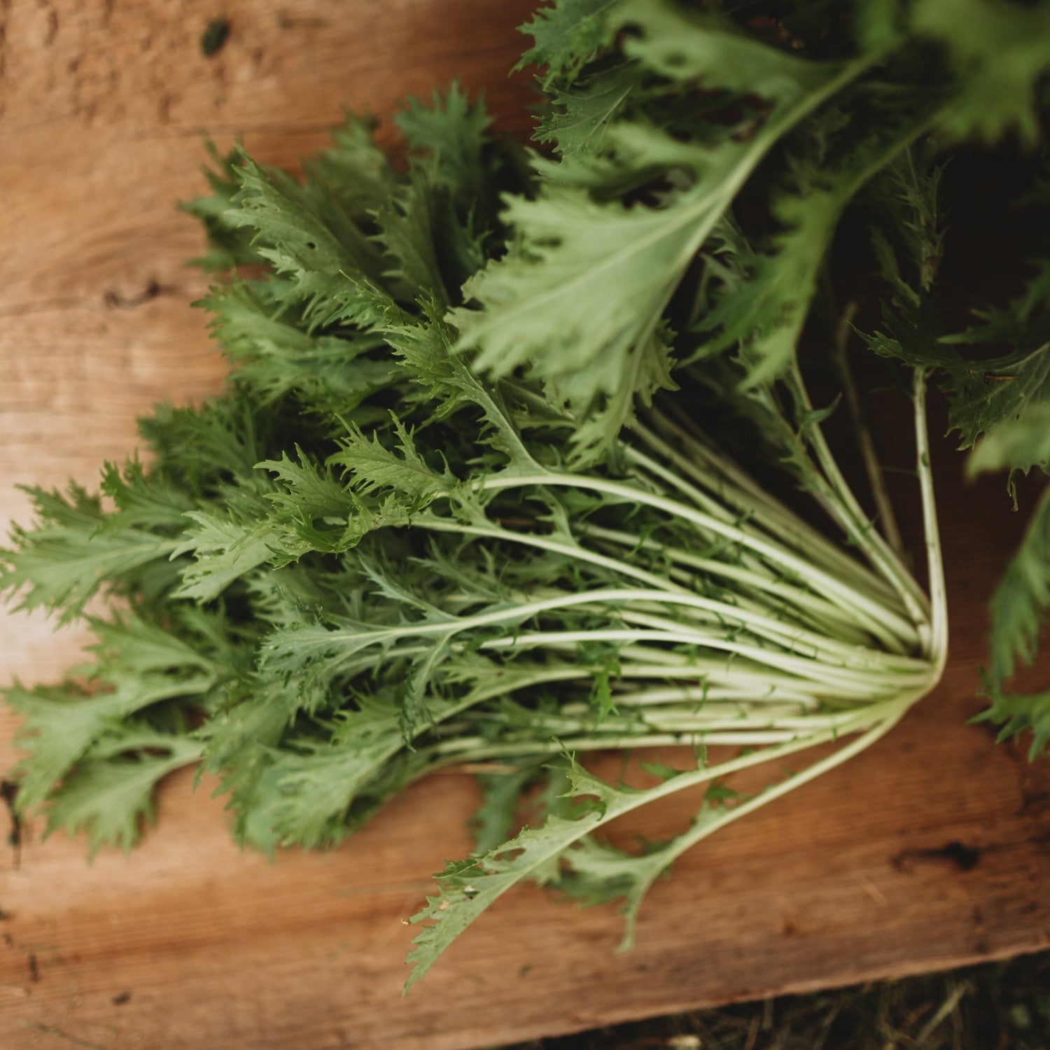 Asian Greens