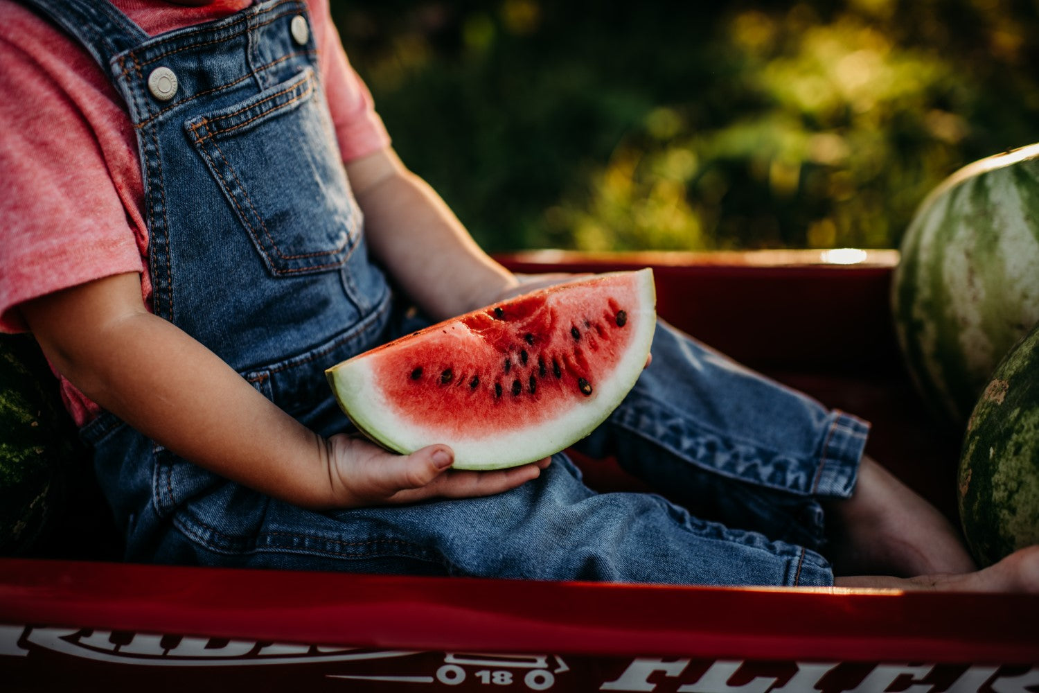 Heirloom watermelon