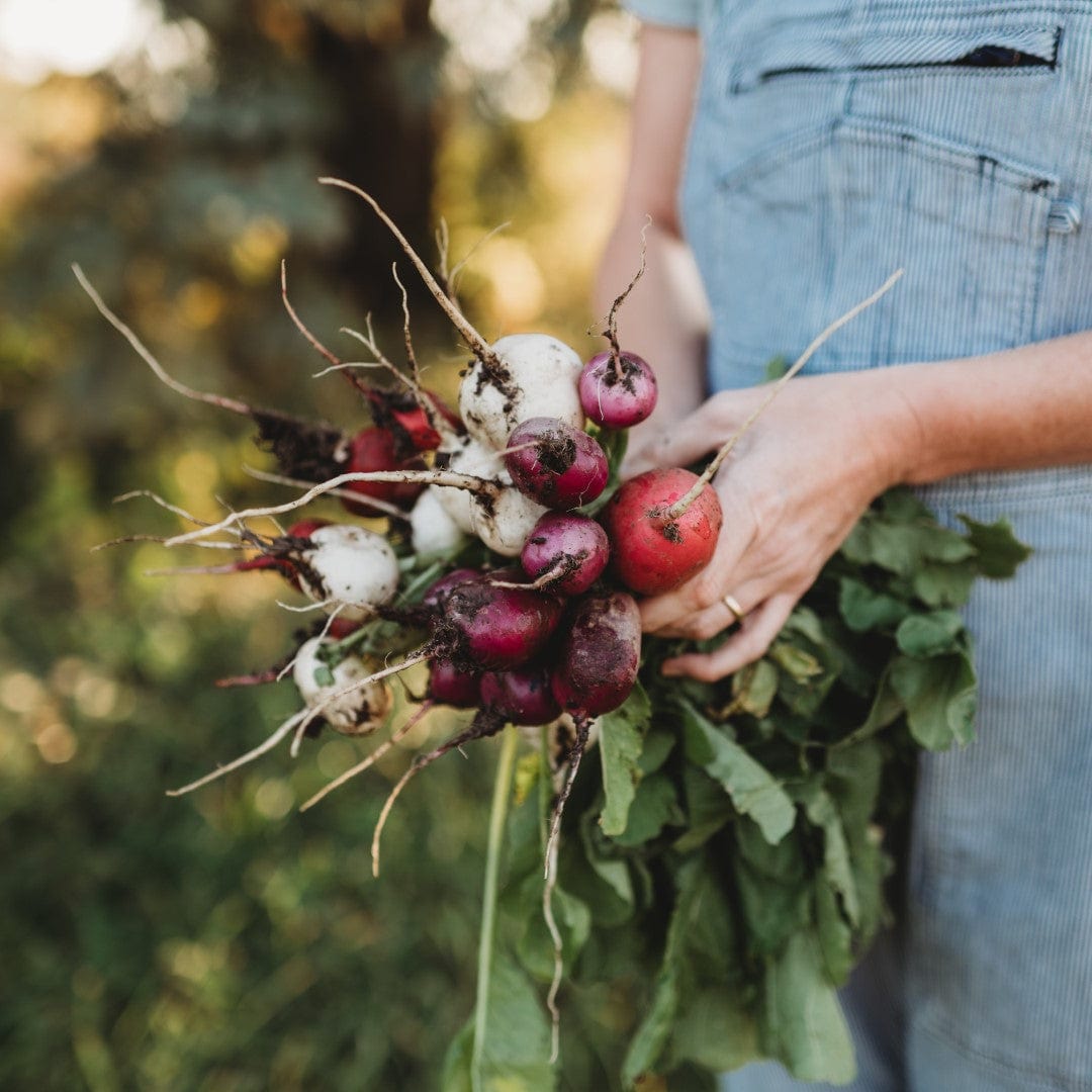 A bunch of radishes