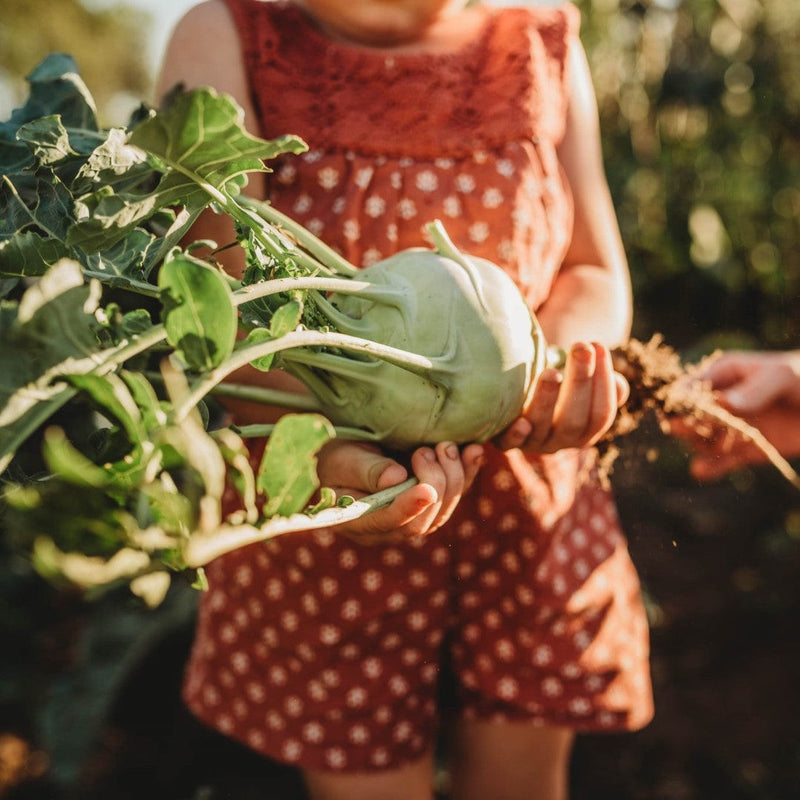 Girl holding kohlrabi