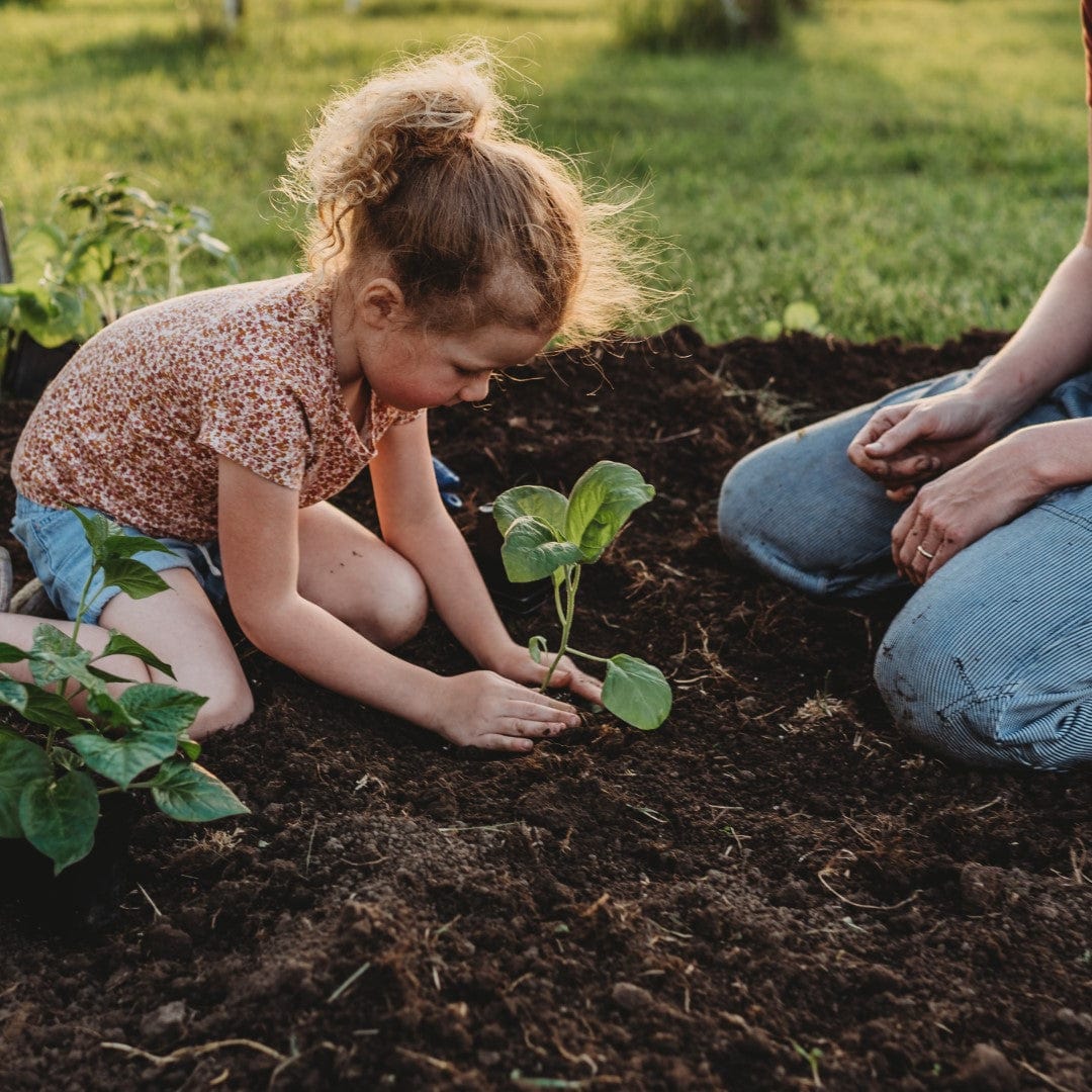 Child planting a seedling