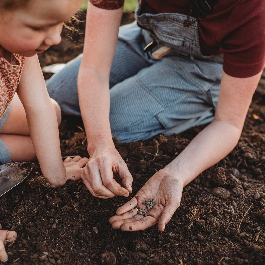 Planting seeds