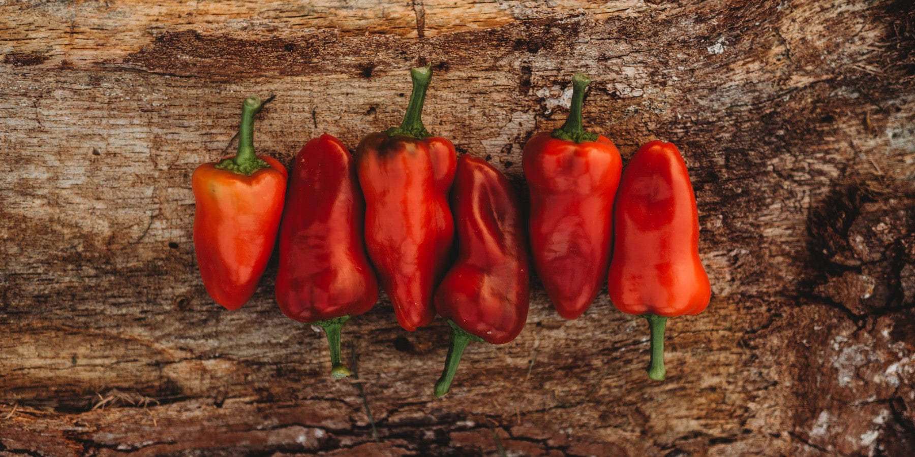 Peppers