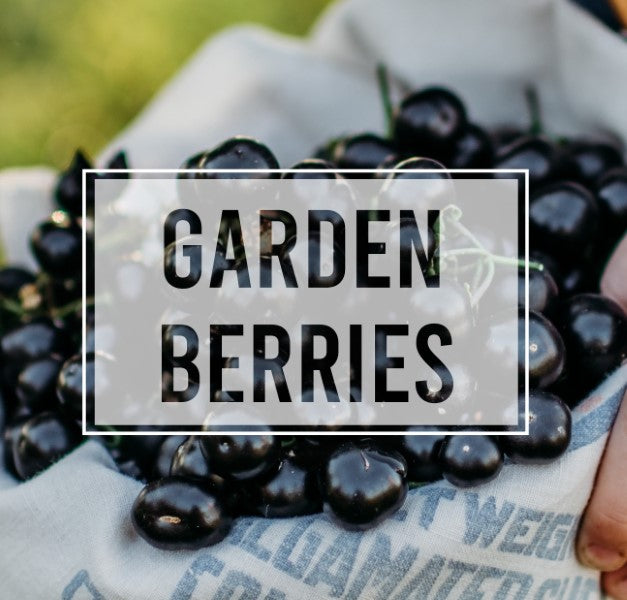 Garden Berries