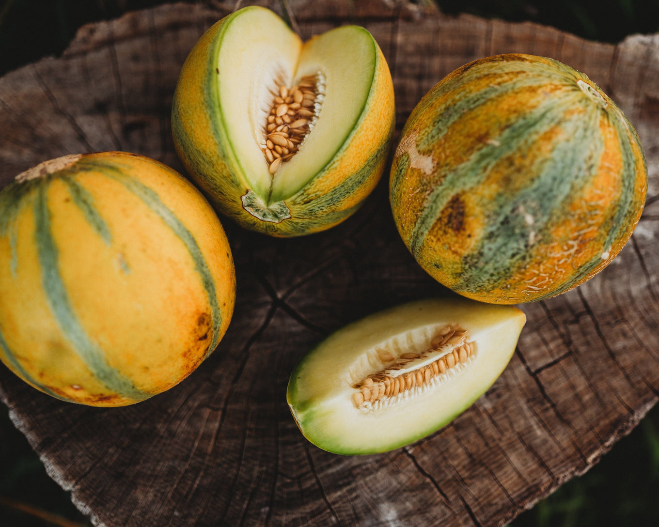 New Heirloom Seeds for 2025