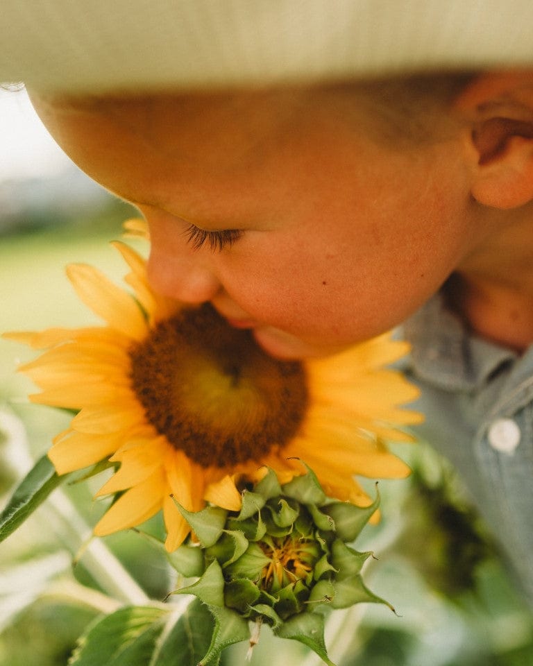 Heirloom Garden Seeds