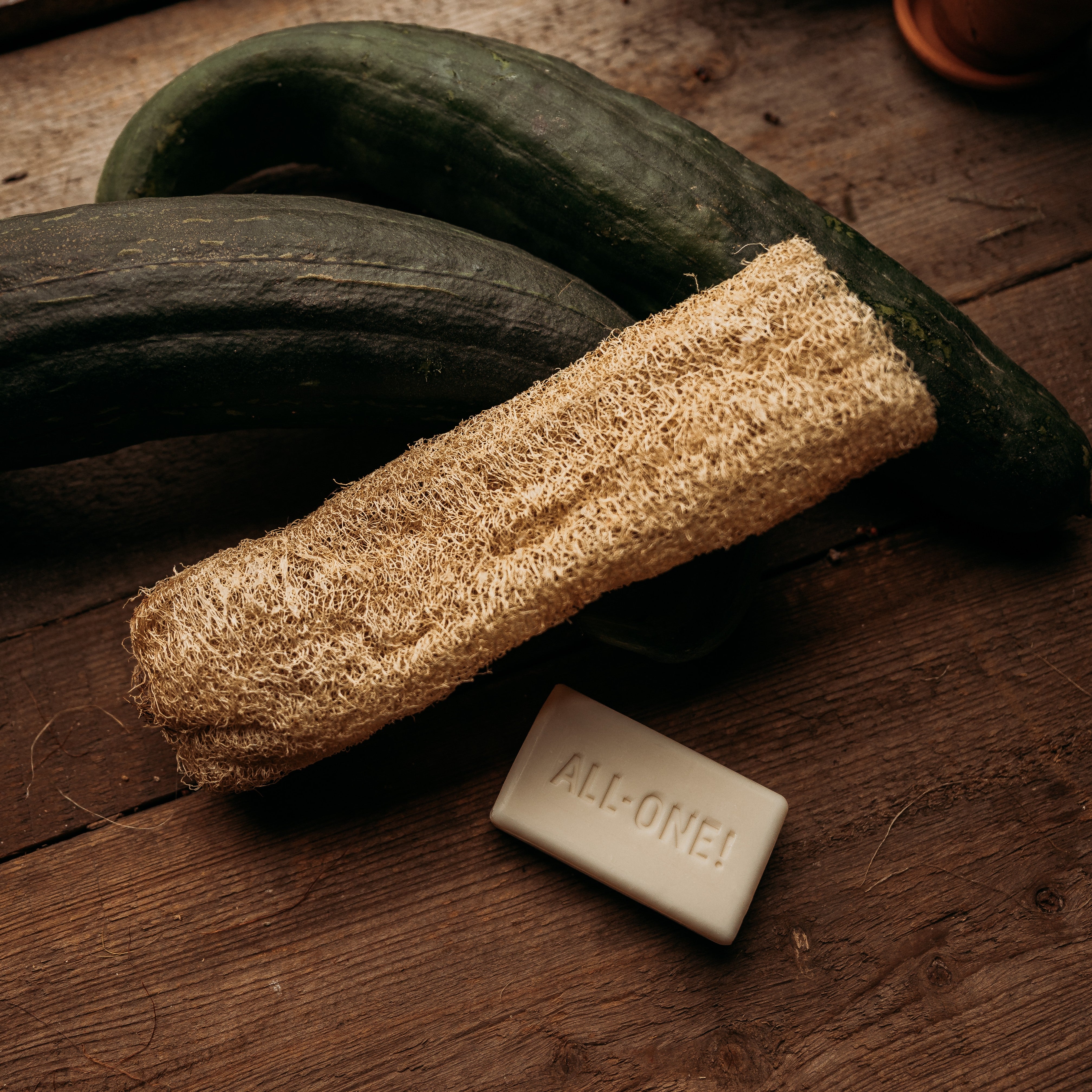 Thresh Seed Co. Luffa Gourd - Thumbnail 2