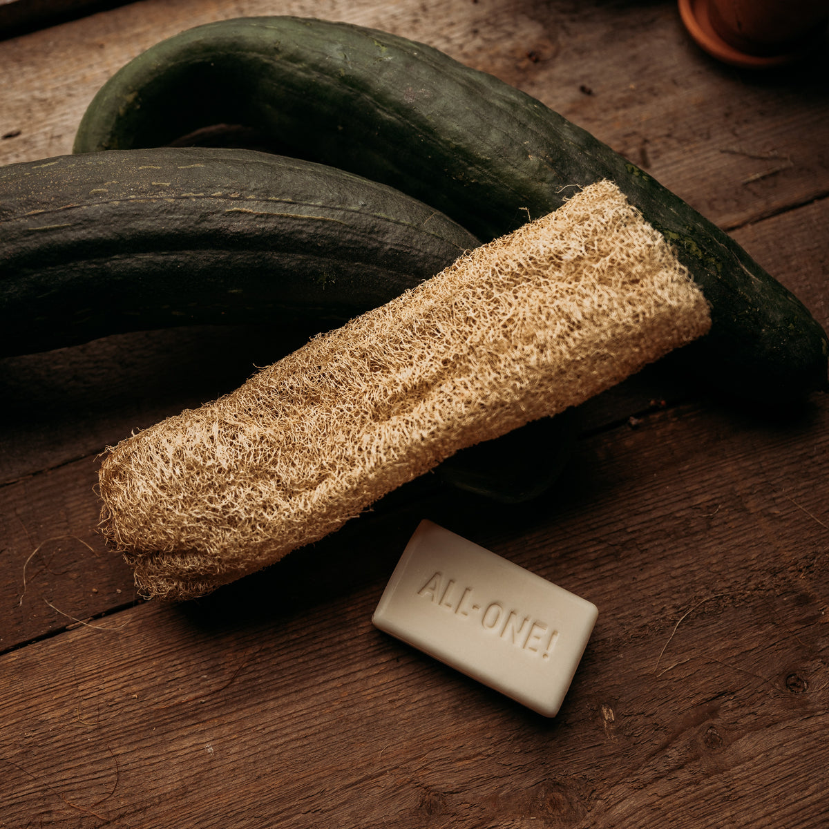 Luffa (Loofah) Dishcloth Gourd