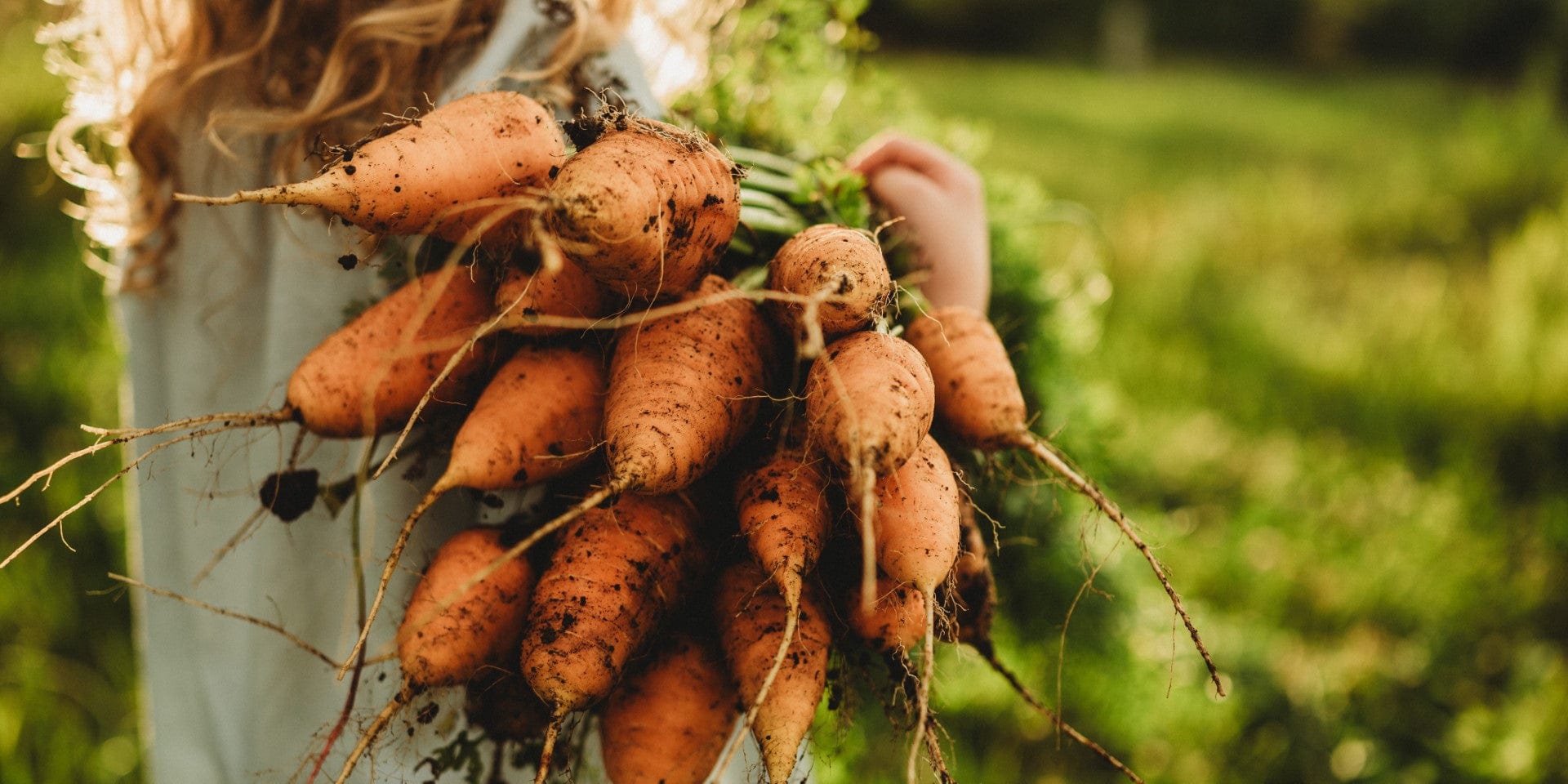 Carrots