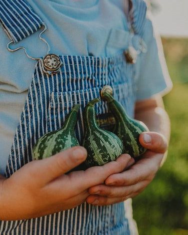 Thresh Seed Co. | Heirloom Garden Seeds