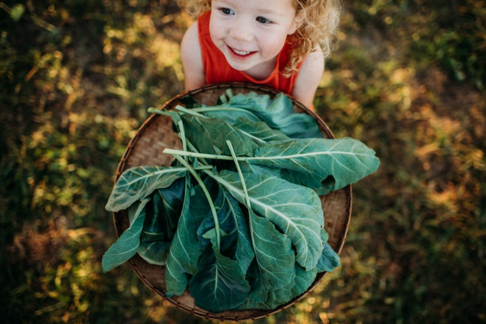 Girl holding basket of collard greens
