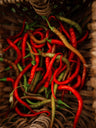 Aci Sivri Kil Pepper