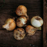 Ailsa Craig Onion
