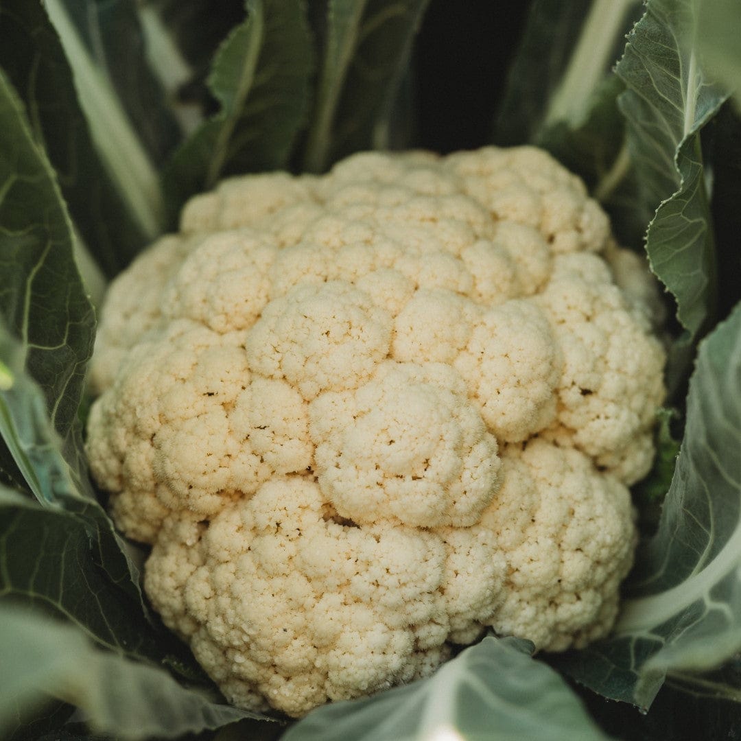 Amazing Cauliflower