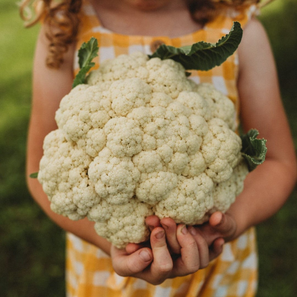 Amazing Cauliflower Seeds