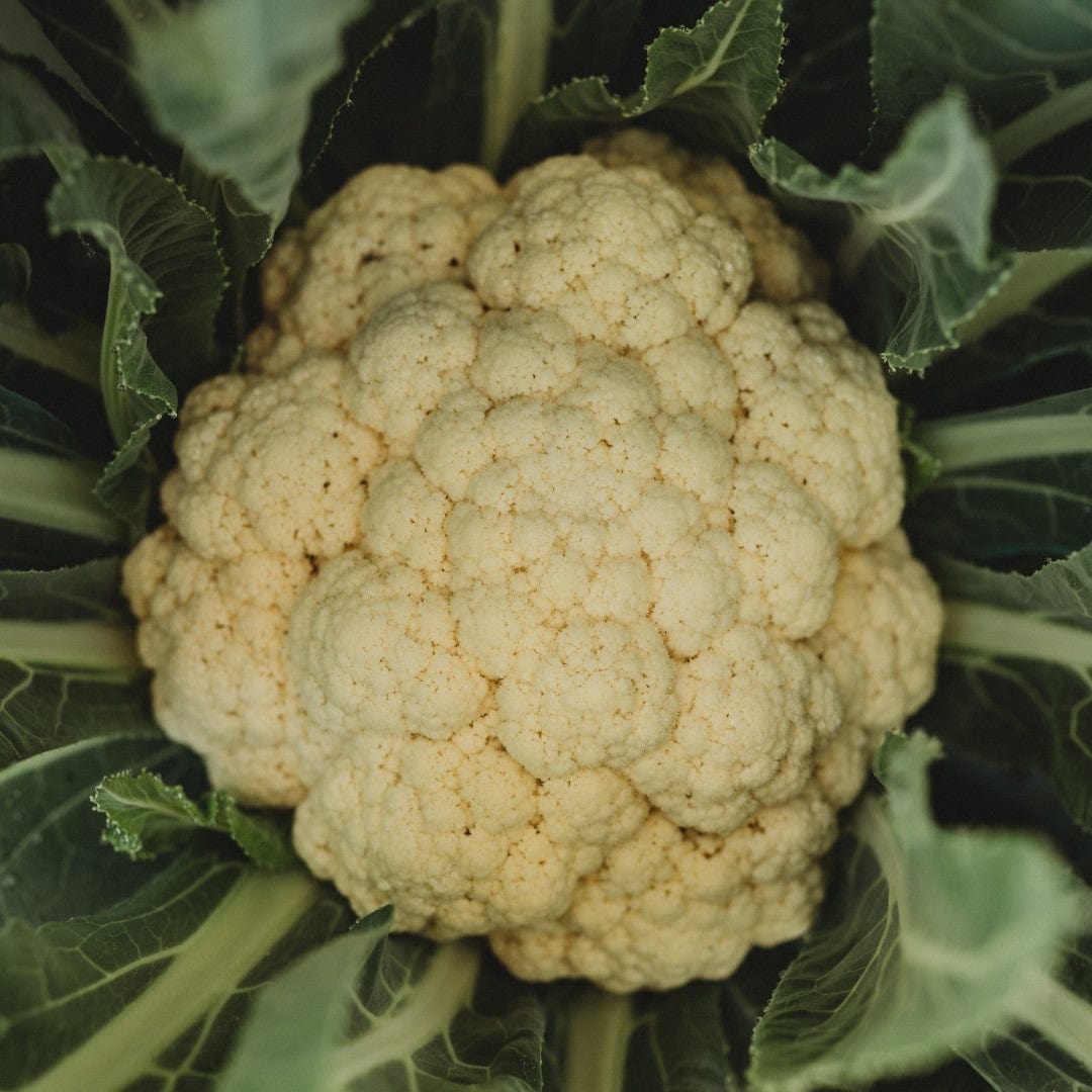 Amazing Cauliflower