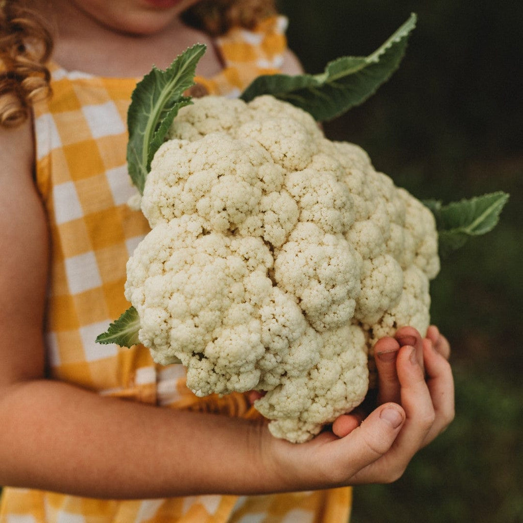 Amazing Cauliflower Seeds