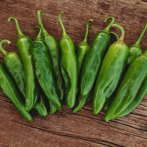 Anaheim Mild Chile Pepper Seeds