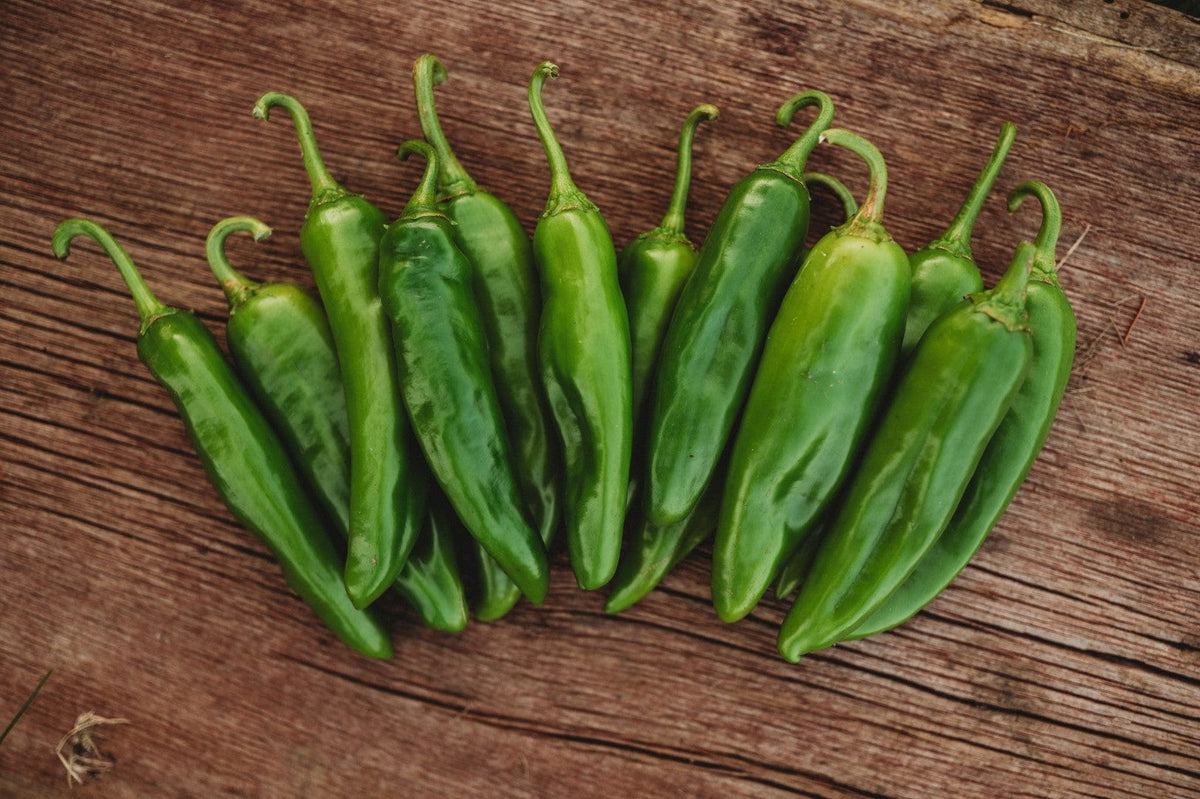 Anaheim Mild Chile Pepper