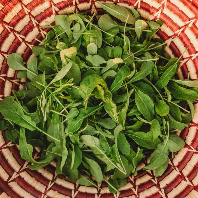 Arugula - Rocket Salat (Roquette) Heirloom Seeds