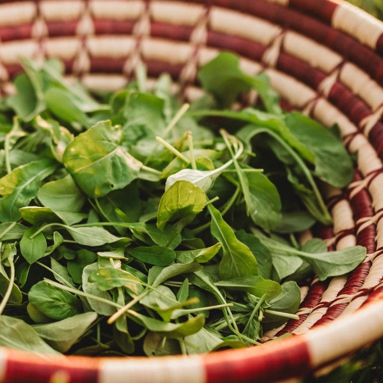 Rocket Arugula