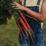 Atomic Red Carrot