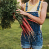 Atomic Red Carrot