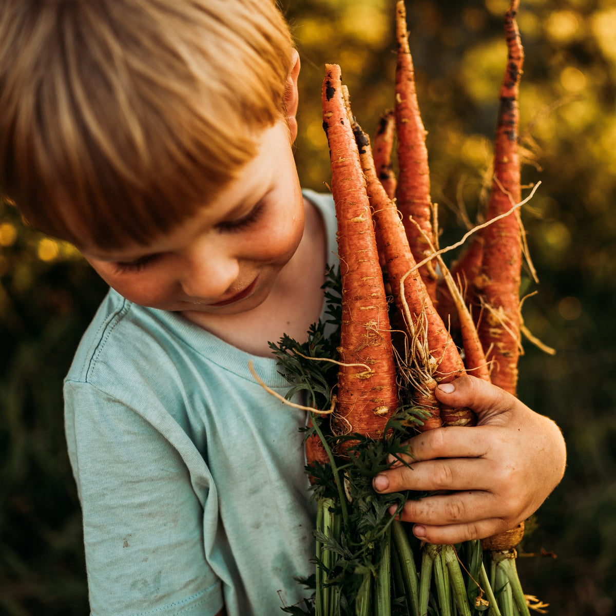 Atomic Red Carrot