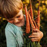 Atomic Red Carrot
