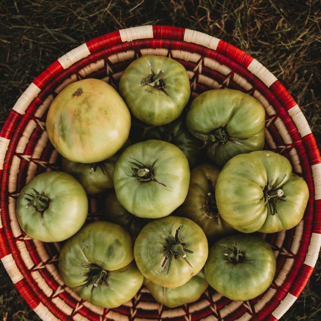 Aunt Ruby's German Green Tomato - Thresh Seed Co.