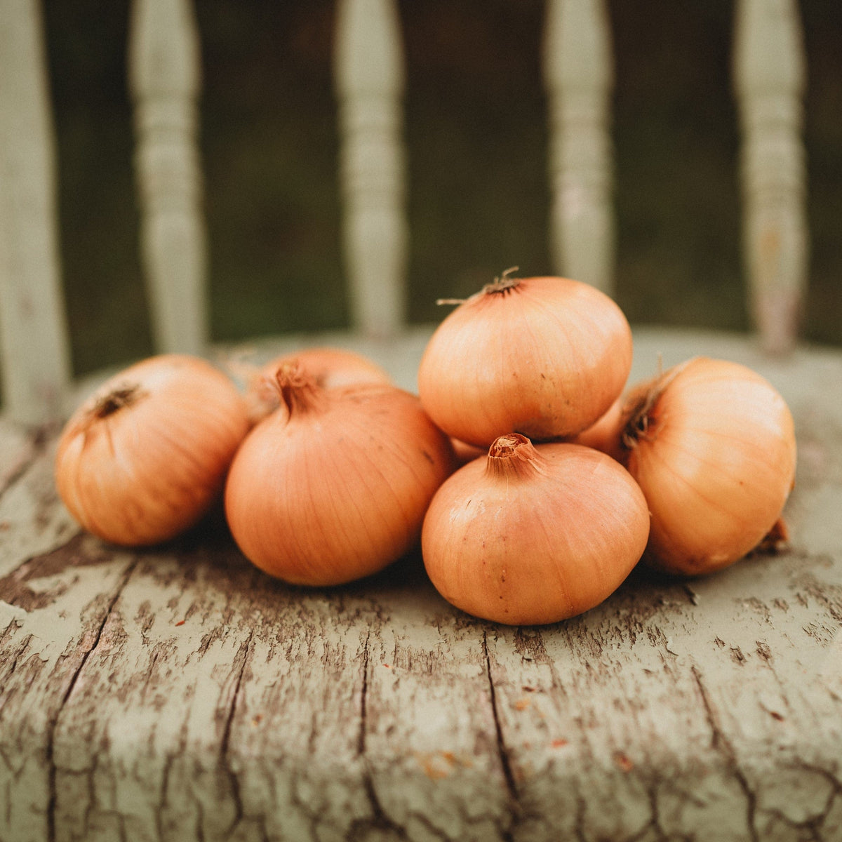 Australian Brown Heirloom Onion