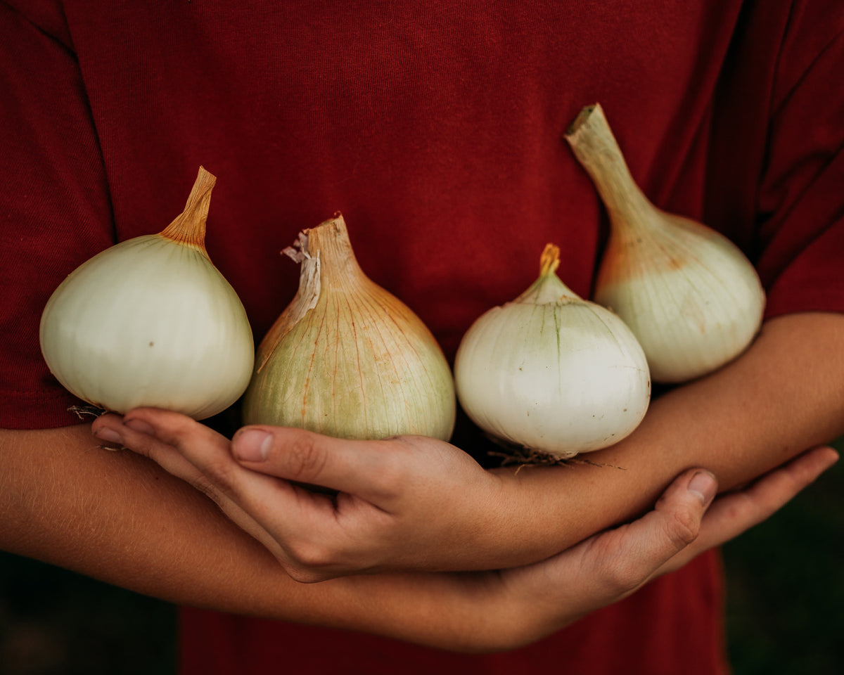 Australian Brown Onion