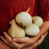 Australian Brown Onion