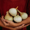 Australian Brown Onion