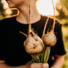 Avalanche White Beet