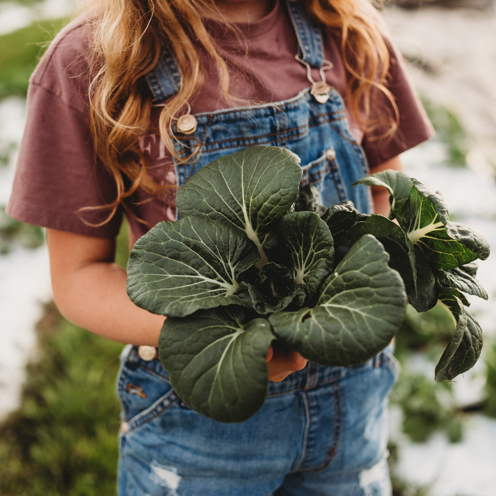 Baby Bok Choy