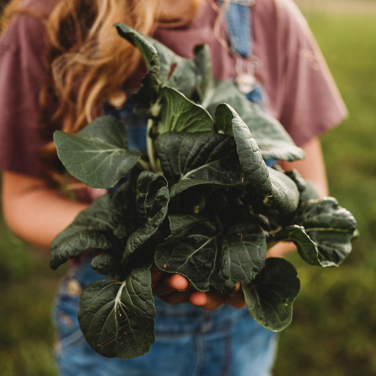 Baby Bok Choy