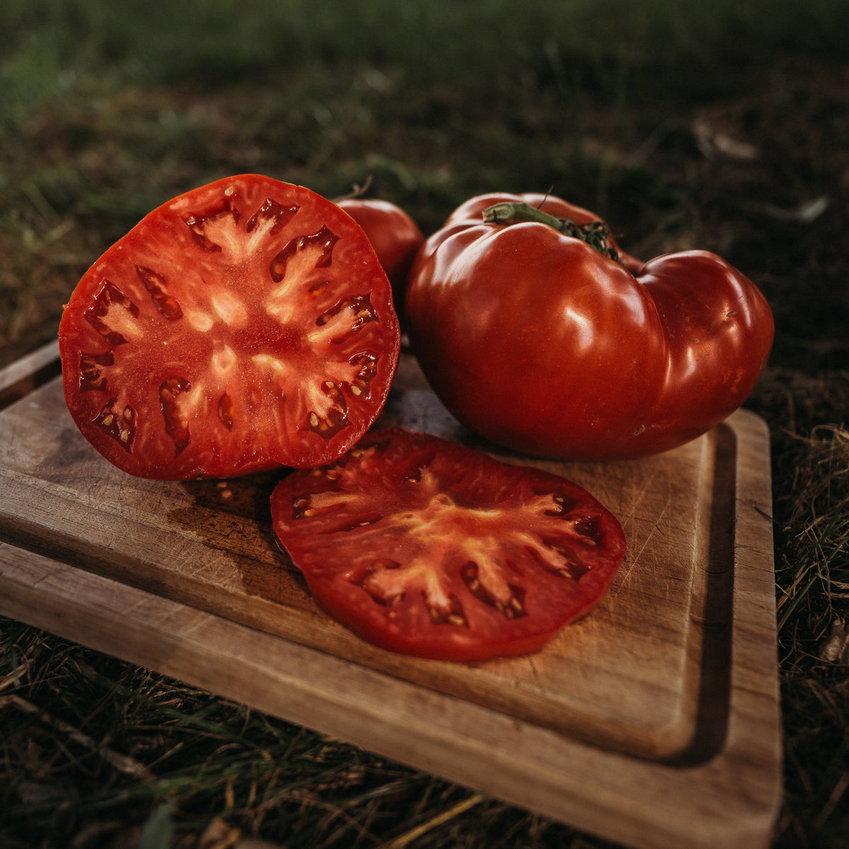 Beefsteak Tomato